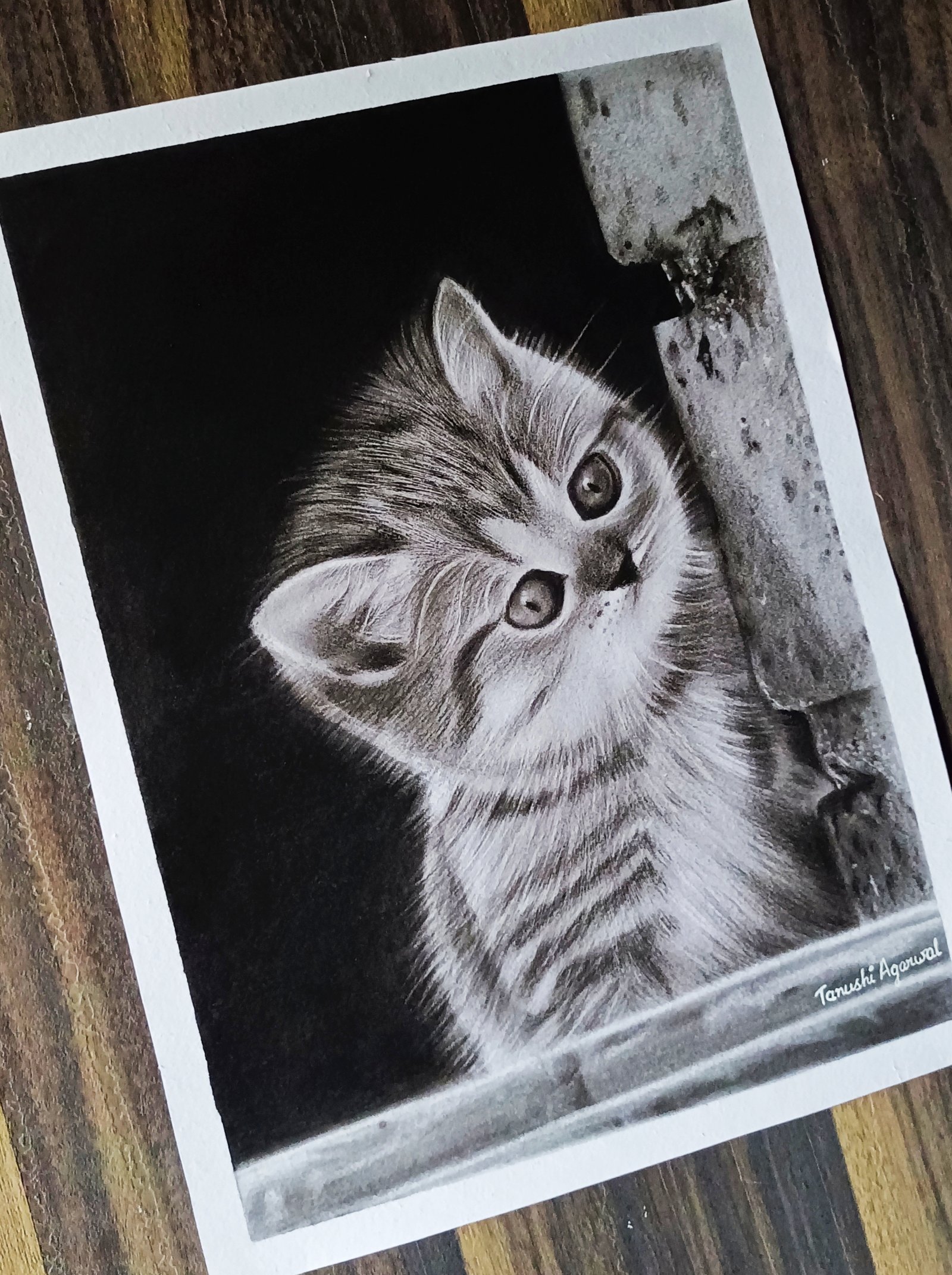 Commissioned colour pencil artwork by PurplePawzz